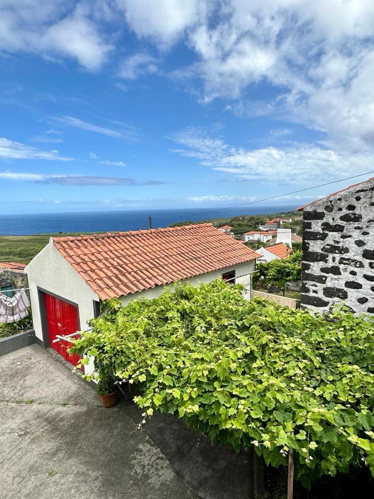Casa Anjos Holiday Cottages Cedros ภายนอก รูปภาพ