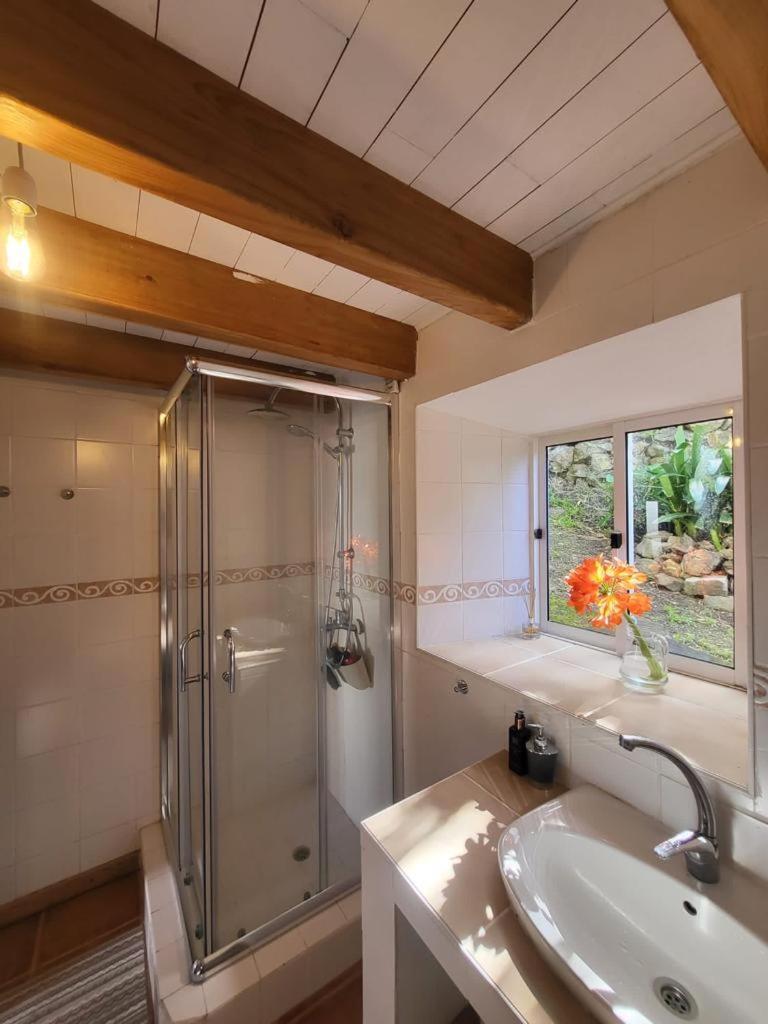 Casa Anjos Holiday Cottages Cedros ภายนอก รูปภาพ