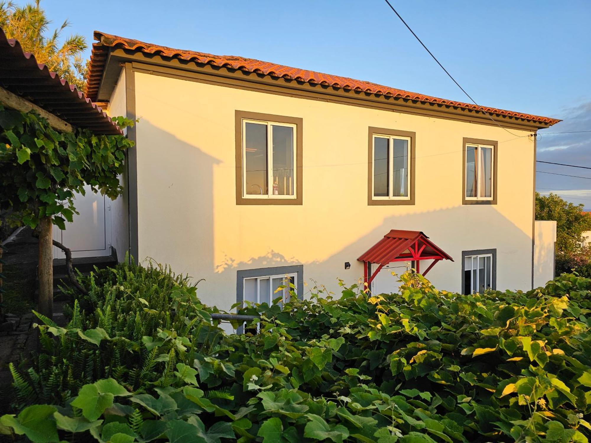 Casa Anjos Holiday Cottages Cedros ภายนอก รูปภาพ